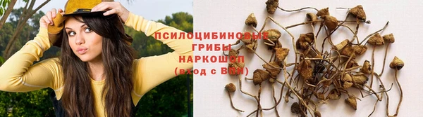 mix Богданович