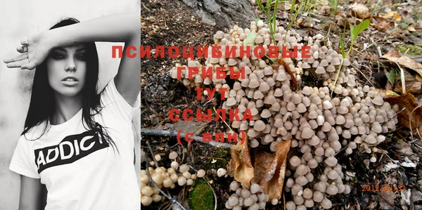 прущая мука Богородицк