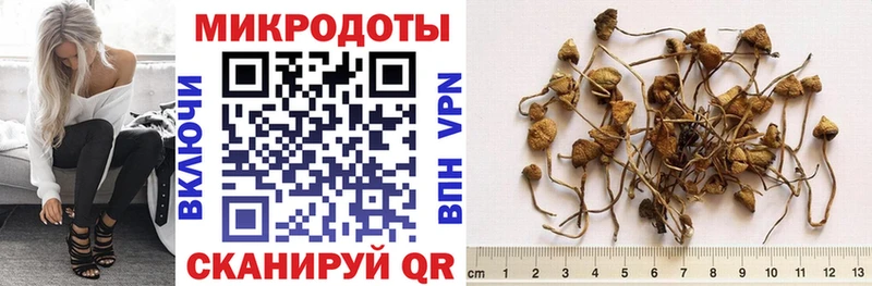 Купить где  Партизанск  Псилоцибиновые грибы прущие грибы 
